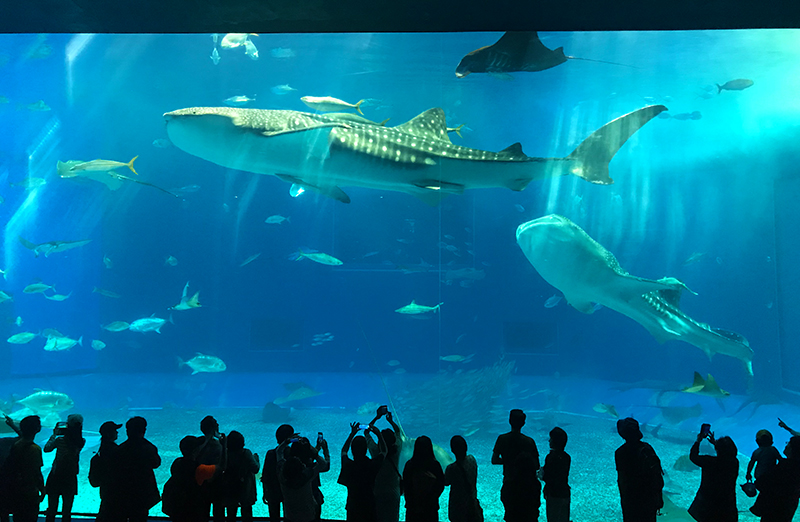 国内旅行イメージ3