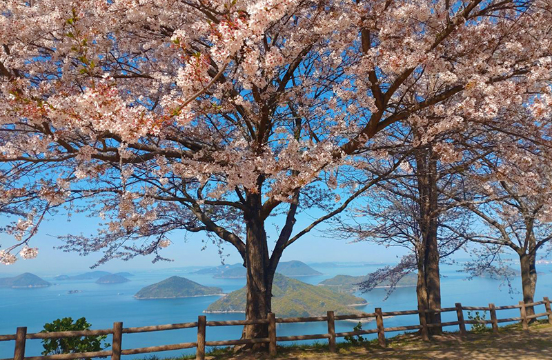 ツアー紹介イメージ1