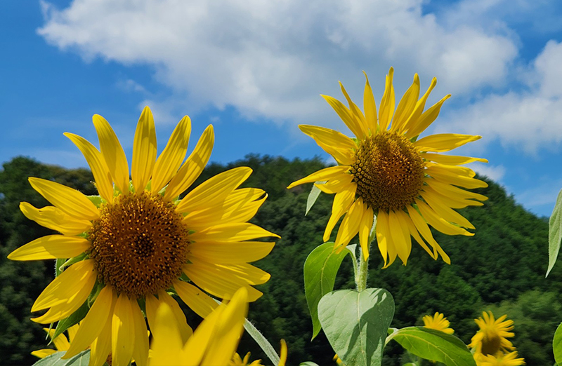 ツアー紹介イメージ2