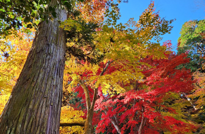 ツアー紹介イメージ3