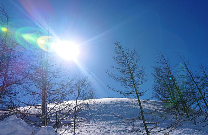 ツアー紹介イメージ4